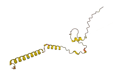 LINC00303 3D structure