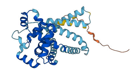 SLC25A52 3D structure
