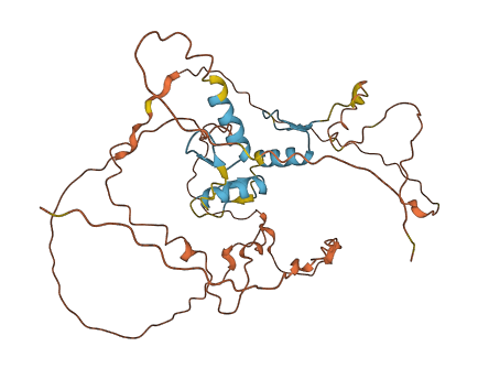SP6 3D structure