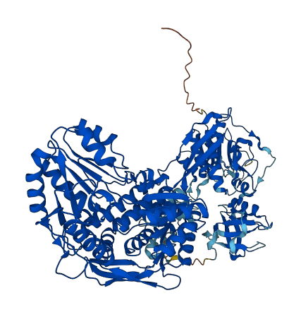ALDH1L2 3D structure