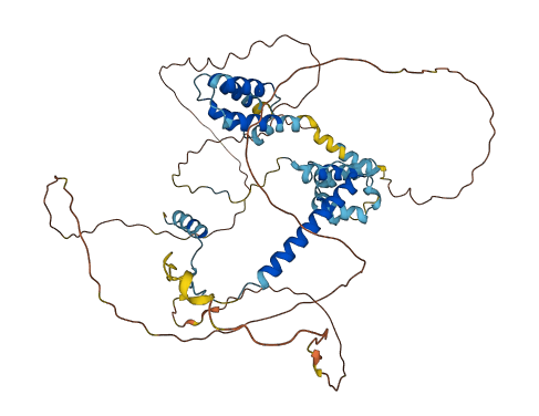 ELOA3B 3D structure