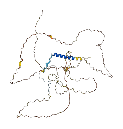 POM121L1P 3D structure