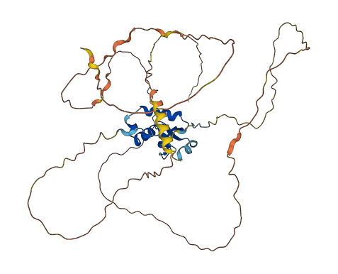 FOXD4L6 3D structure