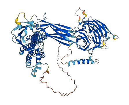 BBS9 3D structure