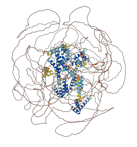 GON4L 3D structure