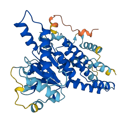 Tgtp2 3D structure