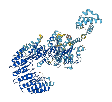 Nlrp4c 3D structure