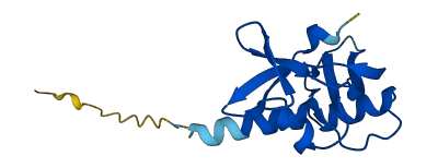 Ang4 3D structure