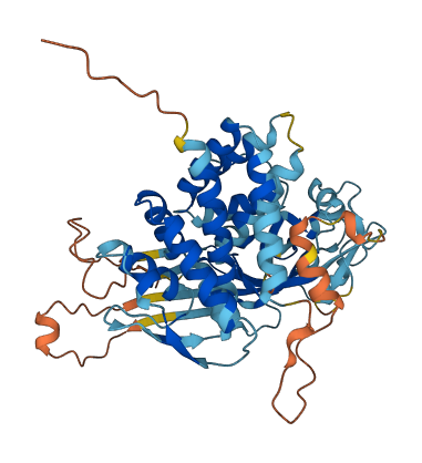 Gsdmc4 3D structure