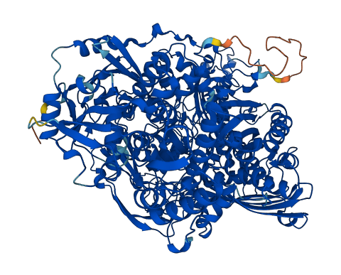 Aox4 3D structure