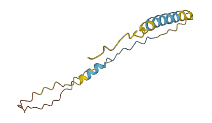 Bex6 3D structure