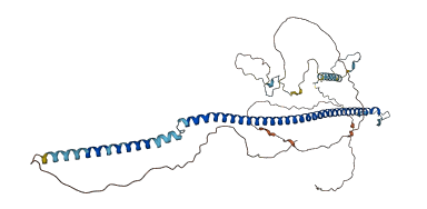 Rsph3a 3D structure