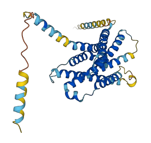 Mrgprb1 3D structure