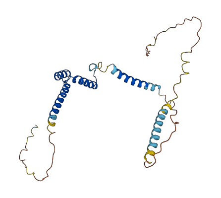 Eif3j1 3D structure