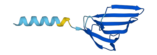 Sslp1 3D structure
