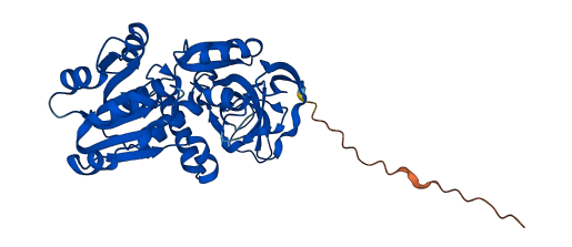 Cryzl2 3D structure