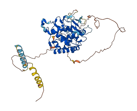 GaskbB 3D structure