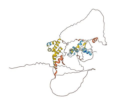 Zscan4f 3D structure