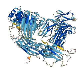 Ovos 3D structure