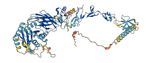 Itgb2l 3D structure