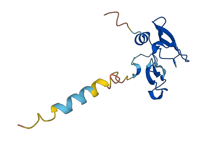 Wfdc6a 3D structure