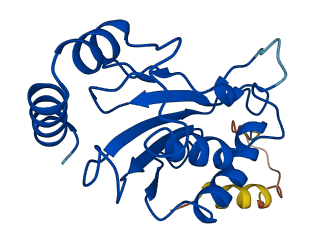 Ube2fb 3D structure