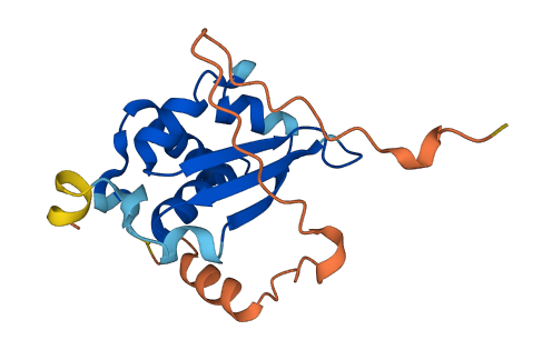 Khdc1a 3D structure