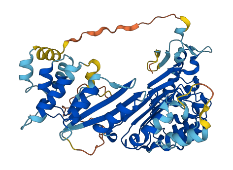 Oog3 3D structure