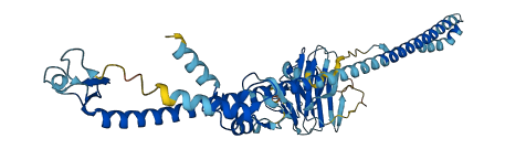 Trim75 3D structure