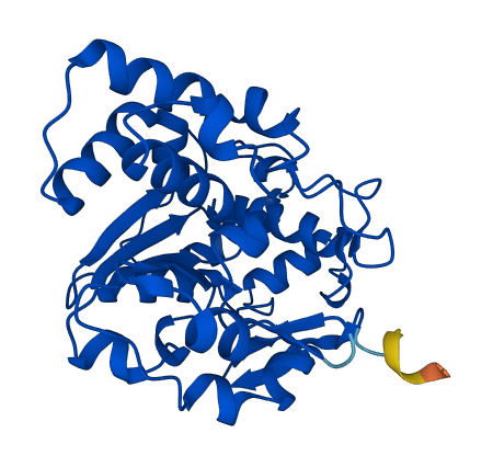 Sult1d1 3D structure