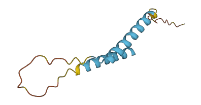 Gm94 3D structure