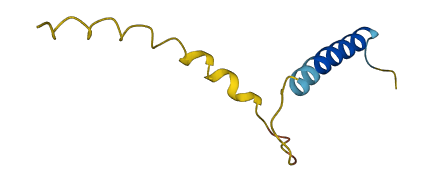 SMIM31 3D structure