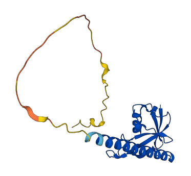 Gm614 3D structure