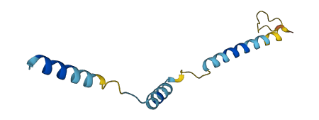 Gm525 3D structure