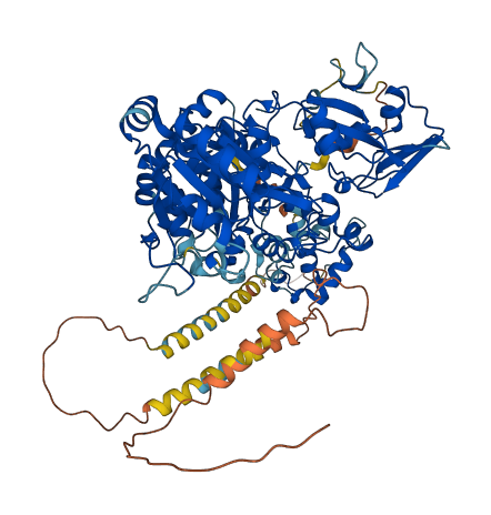 MGAT5B 3D structure