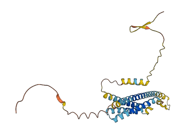 TMEM176B 3D structure