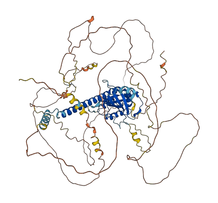 RABL6 3D structure
