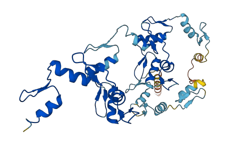 ZNF260 3D structure