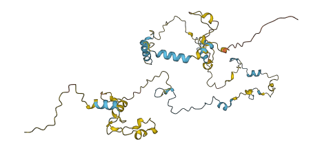 LEXM 3D structure