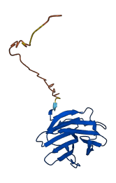 LGALSL 3D structure