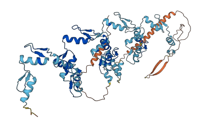 ZNF568 3D structure