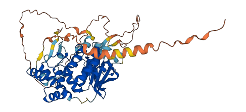AMZ1 3D structure