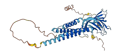 ZACN 3D structure