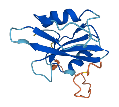 Sh2d1b2 3D structure