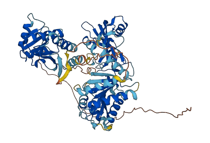 PARP15 3D structure