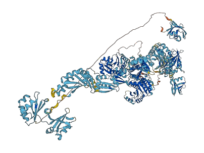 PARP14 3D structure