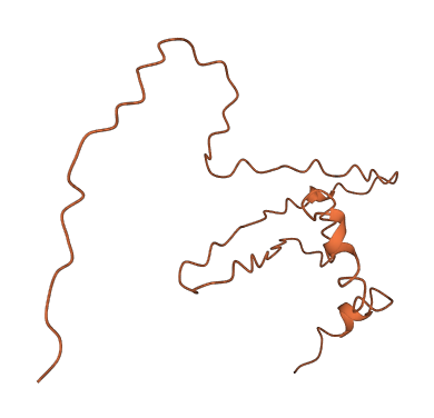 FBXL19-AS1 3D structure