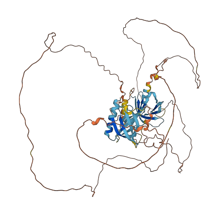 PLEKHN1 3D structure