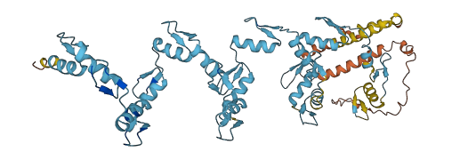 ZNF404 3D structure