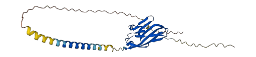 TIGIT 3D structure